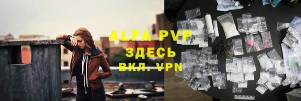 стаф Карпинск