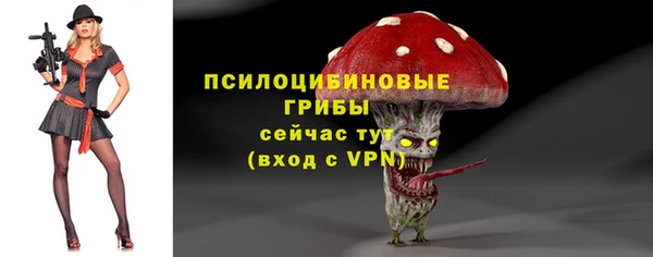 тгк Касимов
