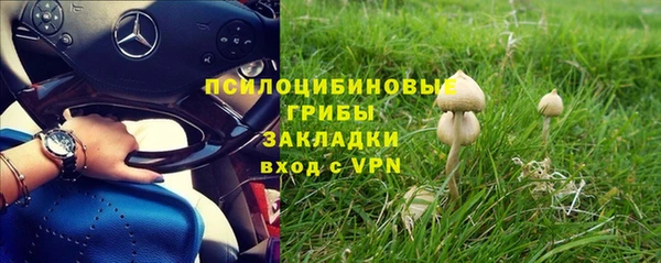 тгк Касимов