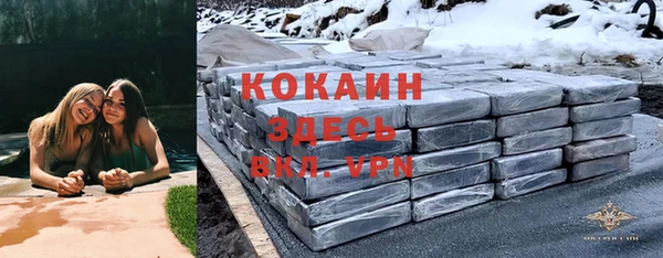 стаф Карпинск