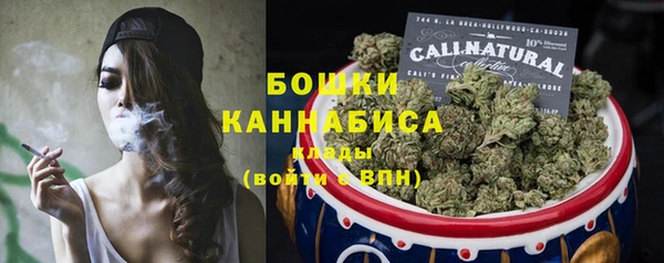 тгк Касимов