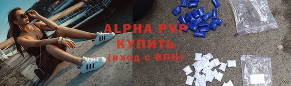 стаф Карпинск