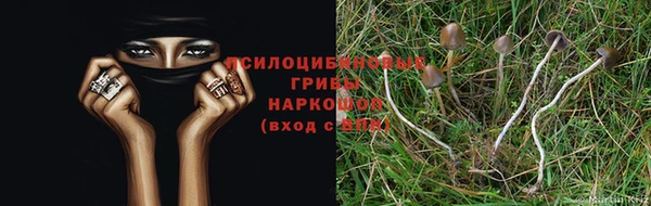 стаф Карпинск