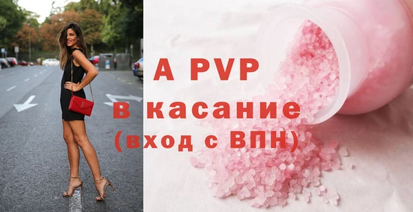стаф Карпинск